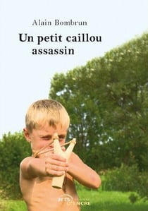 Un petit caillou assassin