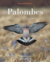 PALOMBES
