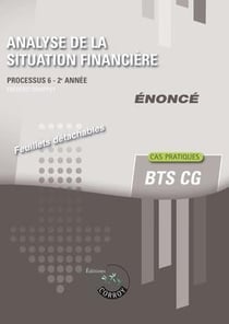 Analyse de la situation financière : énonce - processus 6 - 2e année du BTS CG - cas pratiques