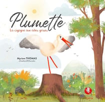 Plumette : La cigogne aux ailes grises