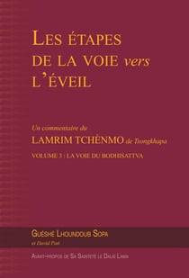 Les étapes de la voie vers léveil Tome 3 : La voie du bodhisattva