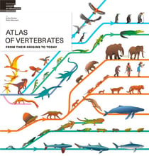Atlas of vertebrates - from their origins to today