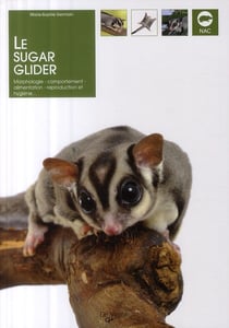 Le sugar glider