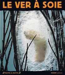 Ver a soie (le)