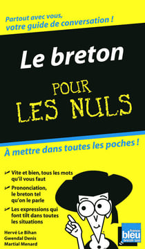 Le breton - guide de conversation pour les nuls