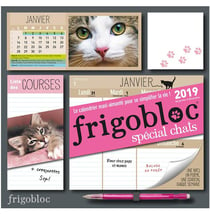 Frigobloc spécial chats - Le calendrier de Play Bac - Poche - Livre -  Decitre