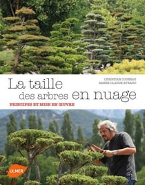 La taille des arbres en nuage