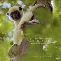 Madagascar, un paradis aux abois - Madagascar, a paradise in distress