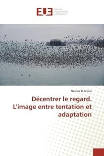 Décentrer le regard. L'image entre tentation et adaptation