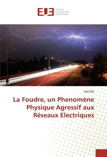 La foudre, un phénomène physique agressif aux réseaux électriques
