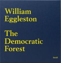 William eggleston the democratic forest