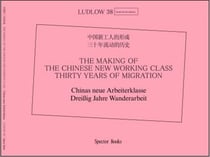 The making of the chinese new working class thirty years of migration