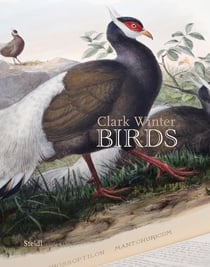 Clark winter birds