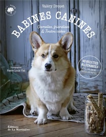 Babines canines : gamelles, friandises & toutou cakes (40 recettes alléchantes à mettre entre toutes les pattes)
