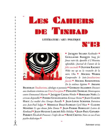 Les cahiers de Tinbad n.13
