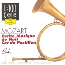 Petite Musique De Nuit