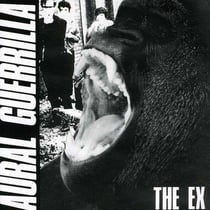 Aural guerrilla