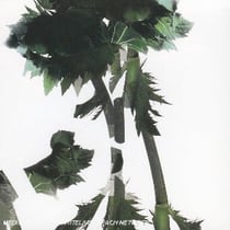 O'stravaganza (fantaisie autour de vivaldi et des musiques celtiques d'irlande)