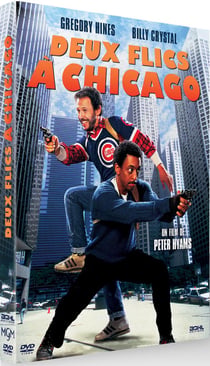 Deux flics à Chicago