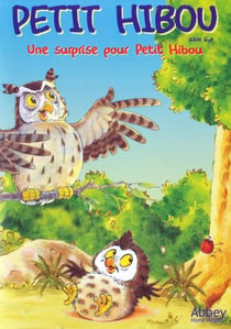 Petit Hibou - Une surprise pour petit hibou