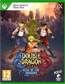 Double Dragon Gaiden : Rise of the Dragons