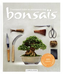 Comment créer et entretenir vos bonsaïs