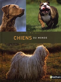 Chiens du monde