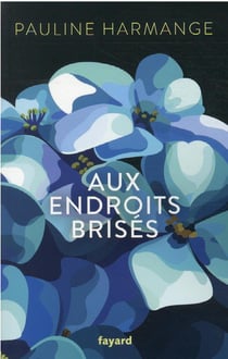 Aux endroits brisés