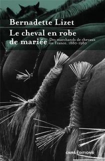 Le cheval en robe de mariée : Des marchands de chevaux en France 1880-1980