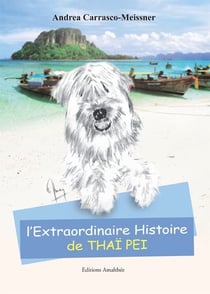 L'extraordinaire histoire de thaï pei