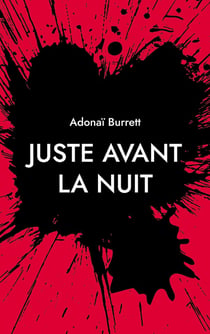 Juste avant la nuit : Tractatus corano-viro-progressus
