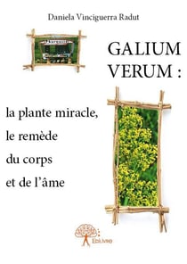 Galium verum - la plante miracle, le remède du corps et de l'âme