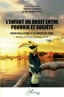 L'enfant du droit, entre pouvoir et société Tome 2 : servir par la plume et les arpents de terre