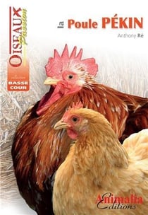 La poule Pékin