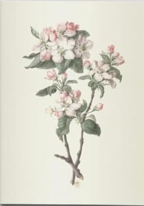 Cahier végétal - dessins de fleurs