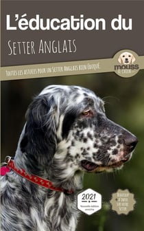 L'éducation du Setter Anglais : toutes les astuces pour un Setter Anglais bien éduqué