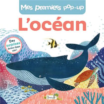Mes premiers pop-up : L'océan