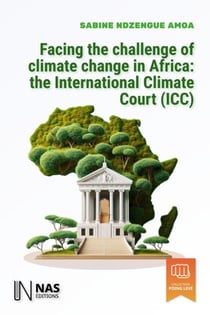 Facing the challenge of climate change in africa: the international climate court (icc)