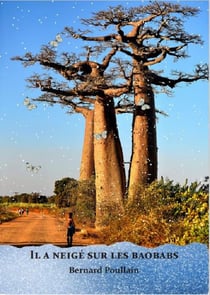 Il a neigé sur les baobabs