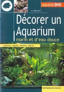 Decorer un aquarium