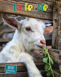 Mes 500 plus belles photos : La ferme