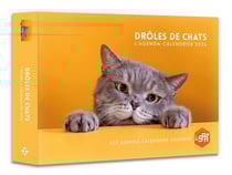 Agenda-calendrier : Drôles de chats (édition 2026)