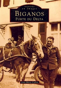 Biganos - porte du Delta
