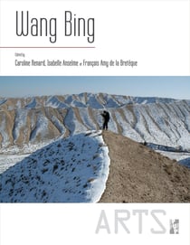 Wang Bing