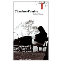 La chambre d'ombre