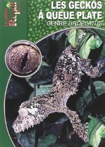 Les geckos à queue plate - le genre uroplatus