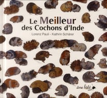 Le meilleur des cochons d'inde