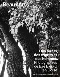 Des forêts, des esprits et des hommes : Photographies de Bae au Palais Fesch
