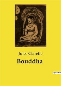 Bouddha : Les aventures d'un officier français entre Paris et le Tonkin
