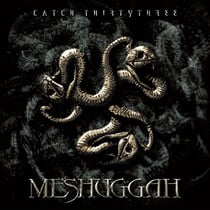 Catch 33
